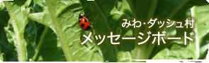 �݂�E�_�b�V���� ���b�Z�[�W�{�[�h
