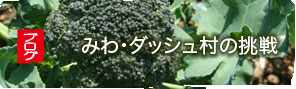 �u���O �݂�E�_�b�V�����̒���